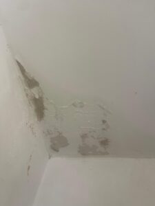 איתור נזילת מים באמצעות גז