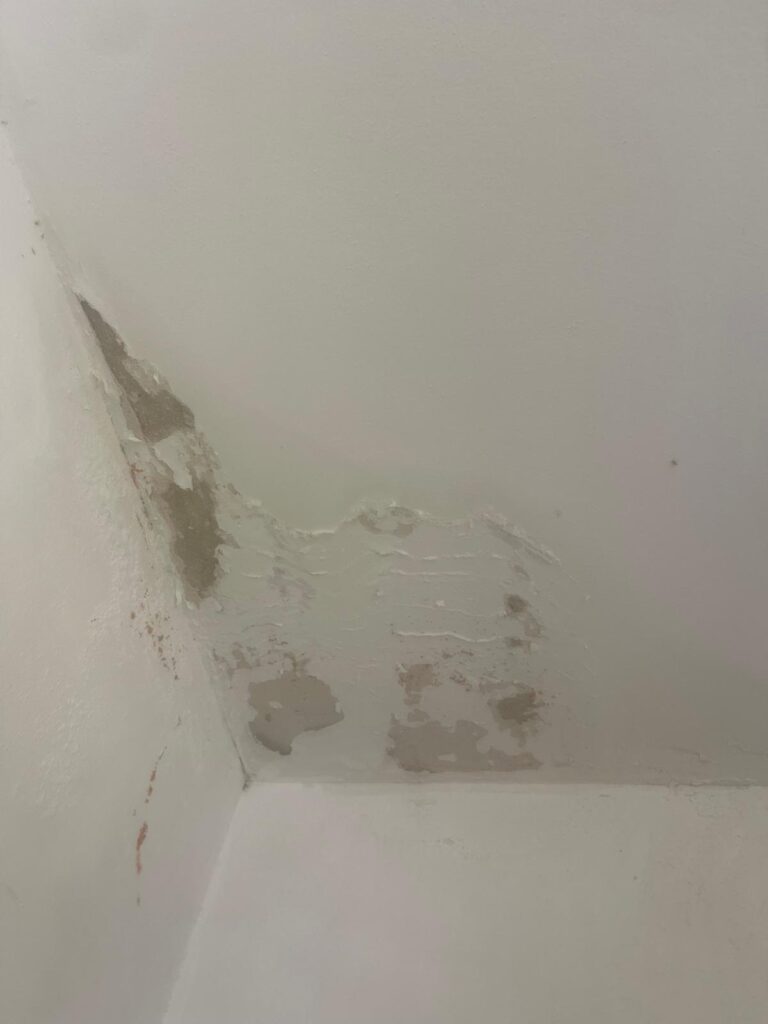 איתור נזילת מים באמצעות גז